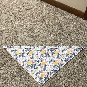 Pet bandanna